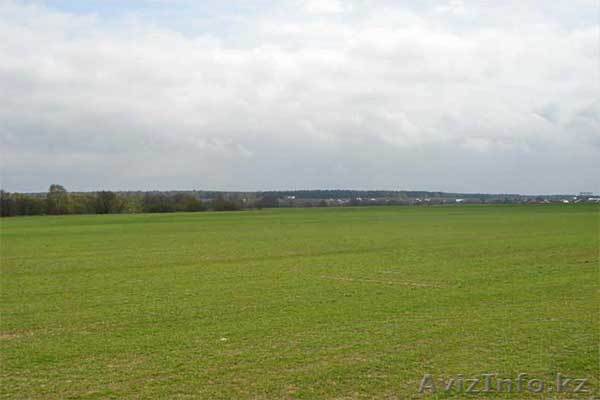 Зем участок с/х назн 307,2ГА Новосибирская обл  - Изображение #1, Объявление #14599