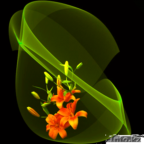 Видео-фотосъемка - Изображение #1, Объявление #80763