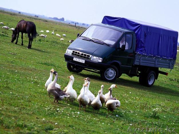 грузоперевозки по г. Усть-Каменогорск - Изображение #1, Объявление #274530