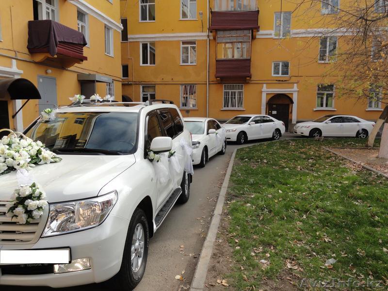 Свадебный кортеж Ukg City - Изображение #1, Объявление #488208