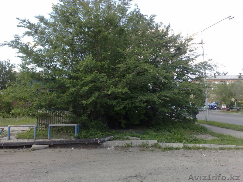 бизнес-строительство магазина для последующей сдачи в аренду или продажи - Изображение #1, Объявление #613006