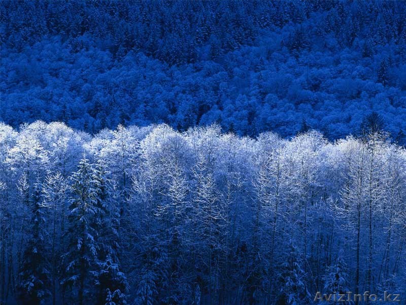 отличное жильё баня огород - Изображение #1, Объявление #605633