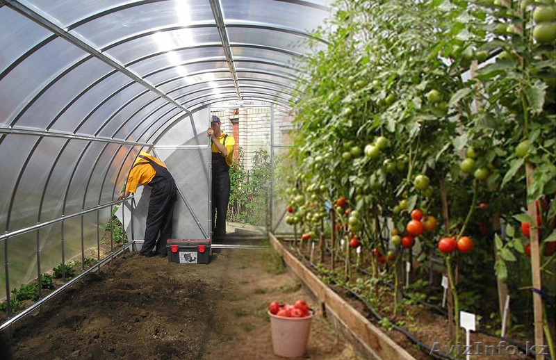 ИП \"Федотова О.В.\" Теплицы садовые  - Изображение #1, Объявление #688481