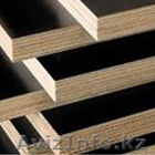 Фанера ламинированная18мм, 1,22м х 2,44м, производства РФ Тюмень - Изображение #1, Объявление #764691