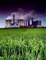 Сертификат ISО 14001 (Система экологического менеджмента) - Изображение #1, Объявление #1028403