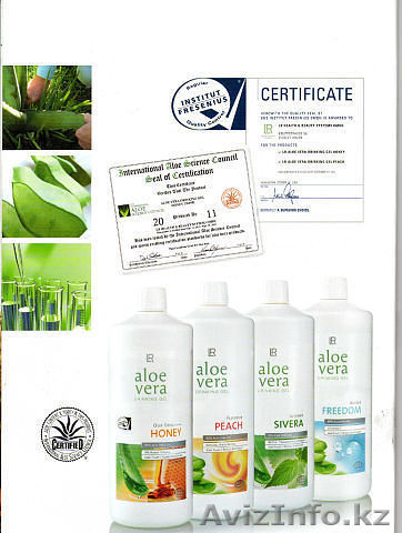 Лечение запоров с алоэ вера. - Изображение #1, Объявление #1097377