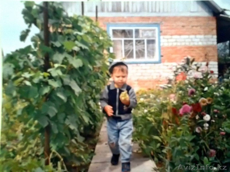 Продаётся дача за Понтонным мостом - Изображение #1, Объявление #1163139