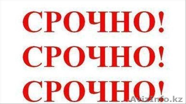 срочно продам дом в отл сост село курчум все хоз. постройки - Изображение #1, Объявление #1156991