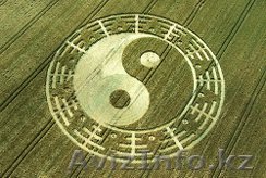 Узнайте функциональное состояние организма за 15 минут - Изображение #1, Объявление #1201836