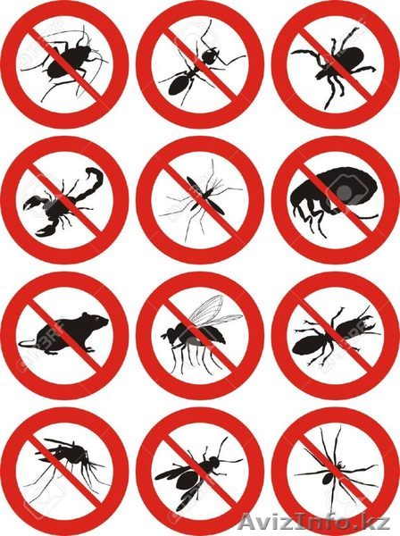  Дезинcекция и дератизация  - Изображение #1, Объявление #1561287