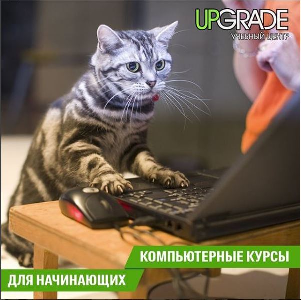 Компьютерные курсы для новичков - Изображение #1, Объявление #1647057