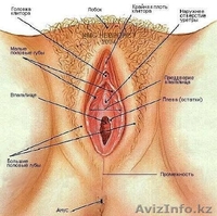Female Genital massage - Изображение #2, Объявление #54183