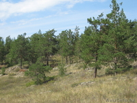         Капитанская бухта - Изображение #1, Объявление #366540