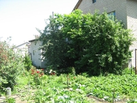 Продается дом в куленовке - Изображение #2, Объявление #395993