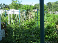 продаю дачу или меняю на иномарку - Изображение #5, Объявление #422852