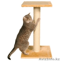 оборудование для кошек - Изображение #2, Объявление #594768