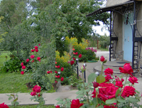 Усть-Каменогорск ust-kam@mail.ru 8 705 701 0303 - Изображение #3, Объявление #668626