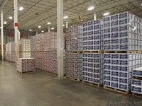 Премиум масла AMSOIL (США)  - Изображение #3, Объявление #930824