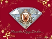 Йоркширский терьер Срочно! - Изображение #2, Объявление #948839