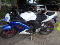 Zongshen 250, хтс, возможна отправка в регионы. - Изображение #2, Объявление #1017946