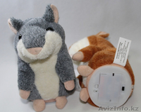 Продам говорящего хомяка!  - Изображение #4, Объявление #1016180