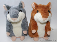 Продам говорящего хомяка!  - Изображение #3, Объявление #1016180