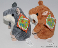 Продам говорящего хомяка!  - Изображение #2, Объявление #1016180