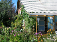 Продам дачу  общество "Колос" - Изображение #1, Объявление #1063003