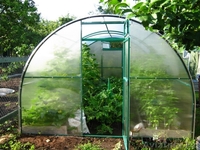 Теплицы для дачи и огородов оптом и врозницу - Изображение #1, Объявление #1089755