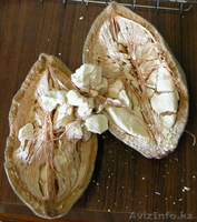 Многофункциональный балансирующий продукт питание - Изображение #5, Объявление #1110695