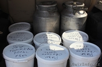 Продам оптом мёд 2014 года - Изображение #4, Объявление #1132933