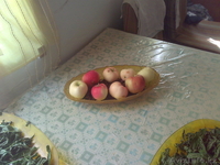 Продам 2-х этажную дачу - Изображение #6, Объявление #1198538