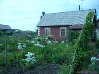 Продам дачу в районе Самсоновка - Изображение #1, Объявление #1307947