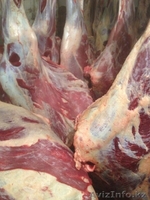 Оптовые поставки высококачественной говядины - Изображение #1, Объявление #1322452