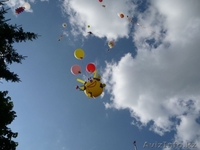 Запуск фигур из шаров в небо  - Изображение #9, Объявление #1361668