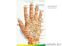 Акупунктурная диагностика всего организма - Изображение #1, Объявление #1372255