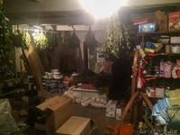 продам хозяйственный и продуктовый магазин - Изображение #8, Объявление #1404376