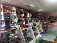 продам хозяйственный и продуктовый магазин - Изображение #4, Объявление #1404376