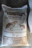 Продаем комбикорма - Изображение #4, Объявление #1468607