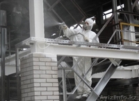 Огнезащитная обработка деревянных и металлических конструкций - Изображение #2, Объявление #1495638