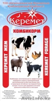Комбикорма всех видов - Изображение #1, Объявление #1577474