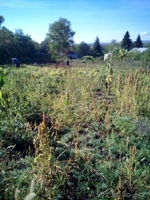 Срочно! продам дом в посёлке Ушаново! торг - Изображение #5, Объявление #1583147