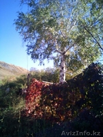 Срочно! продам дом в посёлке Ушаново! торг - Изображение #6, Объявление #1583147