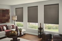 Ролл-Шторы. Скидка до 5 июня 20%, успей купить ! Гарантия 3 года. - Изображение #2, Объявление #1621548