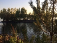 Продам дачу в городе на берегу Иртыша. Аблакетка! - Изображение #1, Объявление #1622487