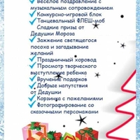 Дедушка Мороз и Снегурочка  - Изображение #1, Объявление #1719821