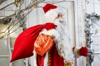 Дед Мороз и Снегурочка.Новогоднее поздравление! - Изображение #3, Объявление #1719816