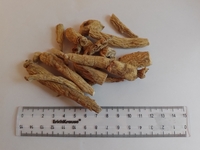Женьшень Корень - Изображение #1, Объявление #1741807