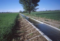 Изготовим лотки для полива - Изображение #1, Объявление #1749882