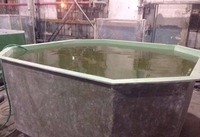 Бассейны для разведения рыбы, раков и т. д - Изображение #3, Объявление #1749887